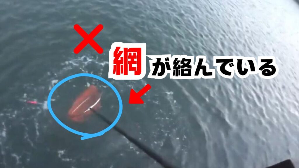 【鮭のタモ入れ攻略法】成功のコツと失敗しない方法10選 | 親子で海釣り