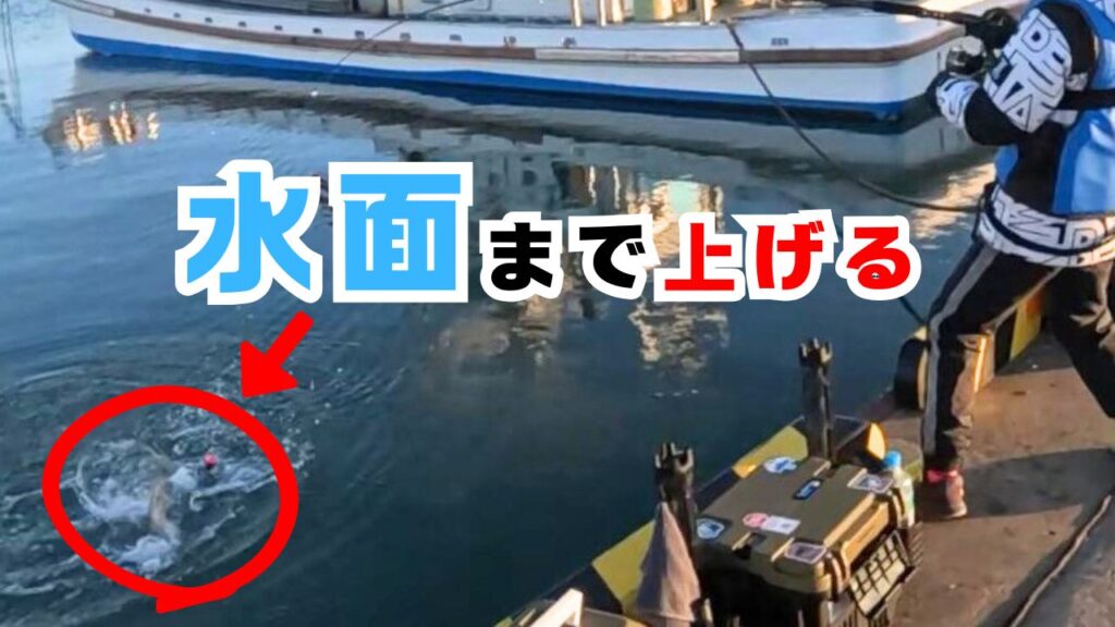 鮭のタモ入れ攻略法】成功のコツと失敗しない方法10選 | 親子で海釣り