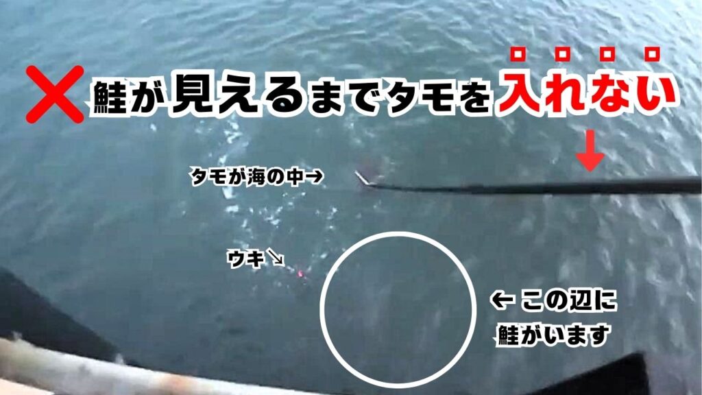 【鮭のタモ入れ攻略法】成功のコツと失敗しない方法10選 | 親子で海釣り